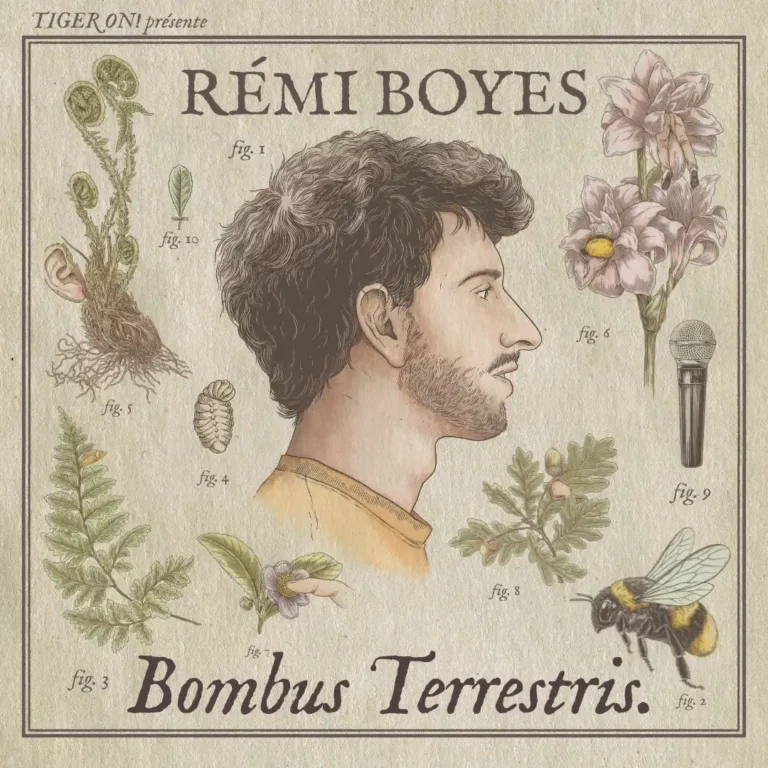 REMI BOYES – Bombus Terrestris